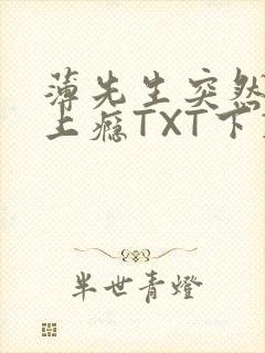 薄先生突然黏她上瘾TXT下载