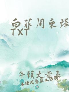 白菲周东烨小说TXT