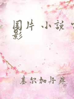 图片 小说 电影