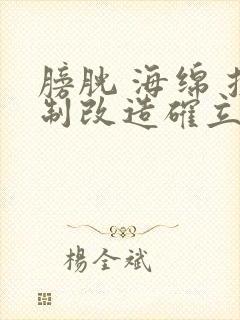 膀胱 海绵 控制改造确立m