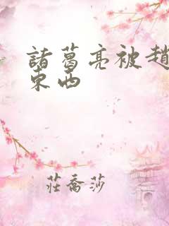 诸葛亮被赵云塞东西