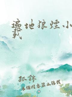 遍地狼烟小说下载