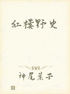 红楼野史
