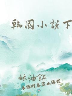韩国小说下载