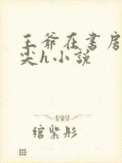 王爷在书房含乳尖h小说