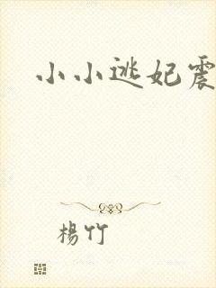 小小逃妃震江山