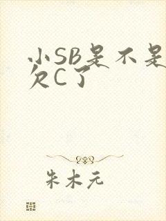 小SB是不是又欠C了