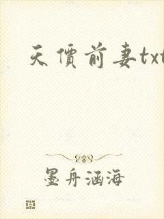 天价前妻txt