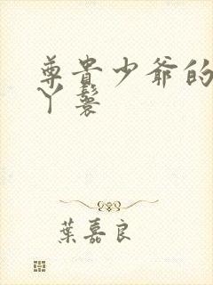 尊贵少爷的大牌丫鬟