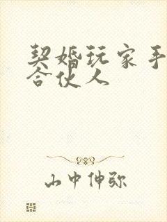 契婚玩家手册之合伙人