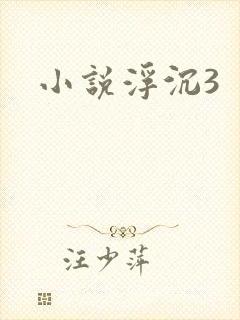 小说浮沉3