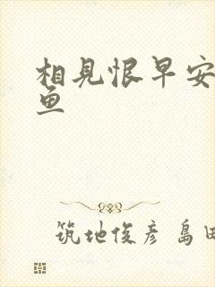 相见恨早安然的鱼