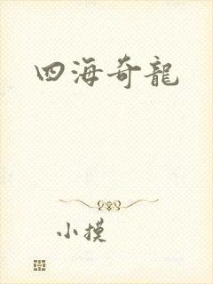 四海奇龙