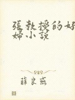 张教授的好儿媳妇小说