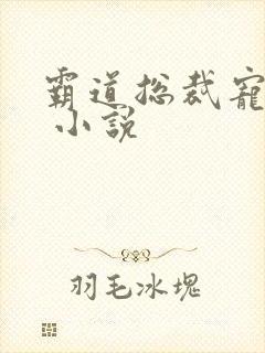 霸道总裁宠上天 小说