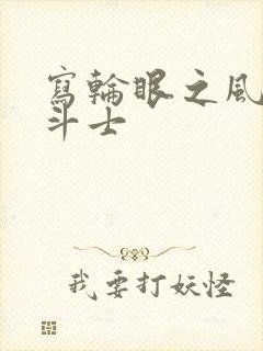 写轮眼之风流圣斗士