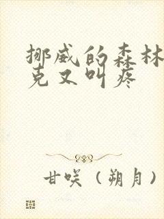 挪威的森林打扑克又叫疼