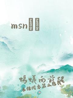 msnС˵