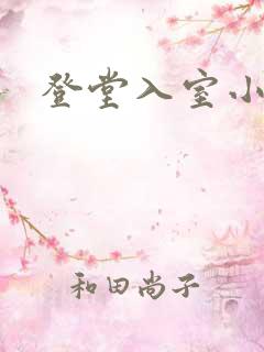 登堂入室小说