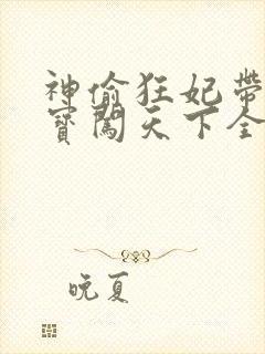 神偷狂妃带着宝宝闯天下全文免费阅读