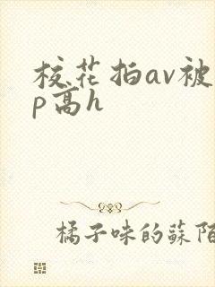 校花拍av被np高h