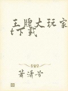 王牌大玩家txt下载