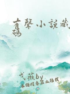 有声小说藏地密码