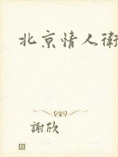 北京情人卫慧
