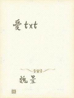 爱txt