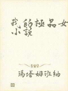 我的极品女老师小说