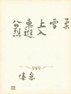 公车上雪柔被猛烈进入