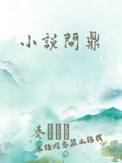 小说问鼎