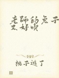 老师的兔子又大又好吃