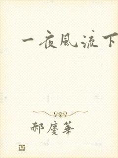 一夜风流下载