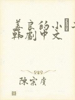 善良的小峓子2韩剧中文