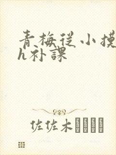 青梅从小摸到大h补课
