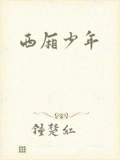 西厢少年