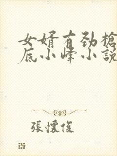 女婿有劲枪枪到底小峰小说