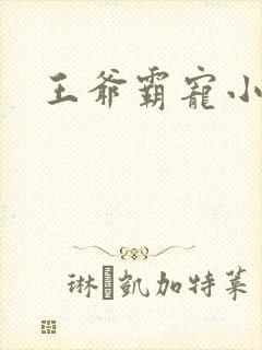 王爷霸宠小甜妻