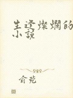 生逢灿烂的日子小说