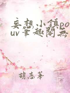 妄想小镇popuv笔趣阁无广告