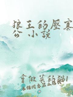 狼王的压寨小相公 小说