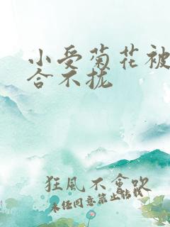 小受菊花被双龙合不拢