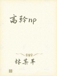 高干np