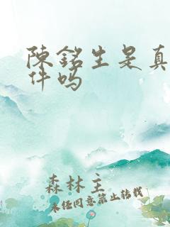 陈铭生是真实事件吗