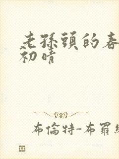 老孙头的春天林初晴