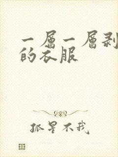 一层一层剥掉你的衣服