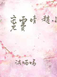 宋雨晴 赵小刚免费