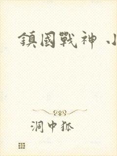 镇国战神 小说