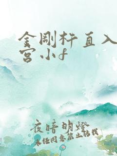 金刚杵直入莲花宫小f